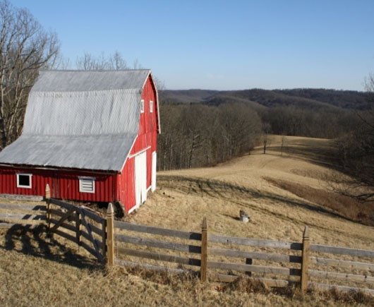 Scene in Brown County